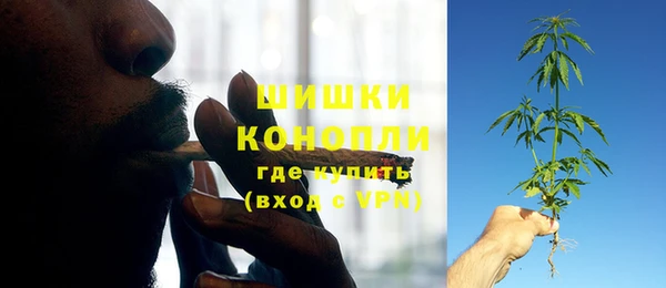 трава Алзамай