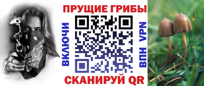 купить наркотики сайты  блэк спрут зеркало  Галлюциногенные грибы ЛСД  Сочи 