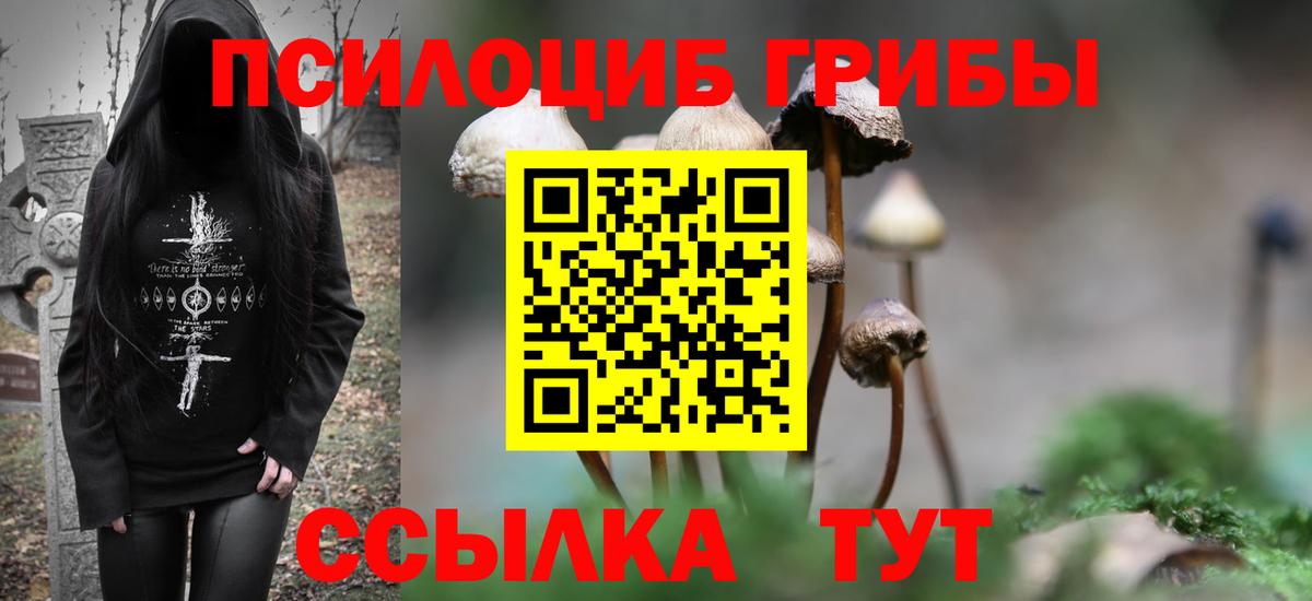 Галлюциногенные грибы Cubensis  Вход с VPN  Галлюциногенные грибы GOLDEN TEACHER  Сочи 