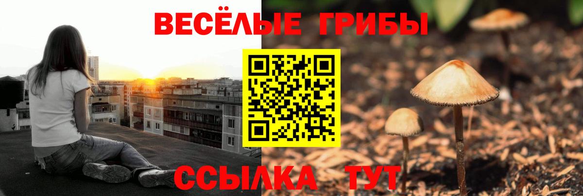 Псилоцибиновые грибы прущие грибы Сочи